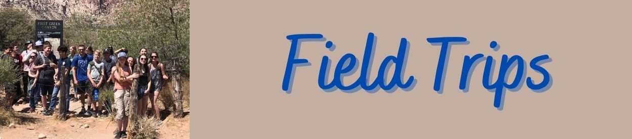 Untitled Header Image